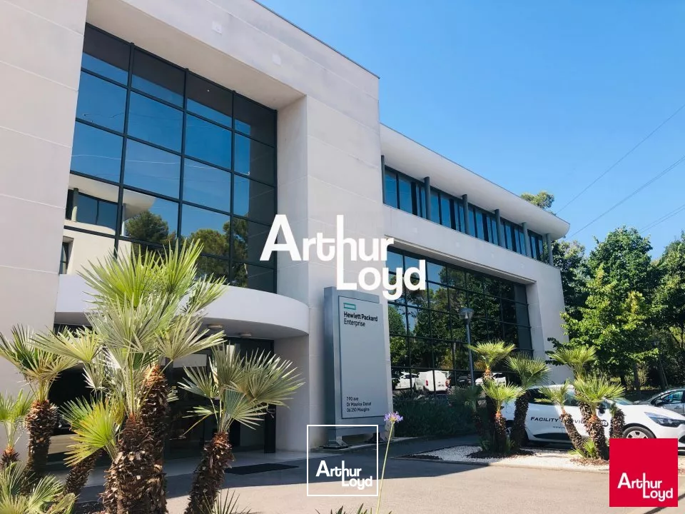Bureaux 1659.15 m² à louer divisibles dès 276 m² - Mougins - Prestations de qualité