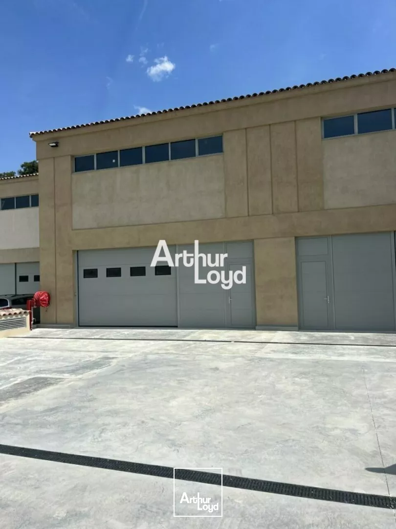Locaux d'activités neufs 255 m² à louer Sophia Antipolis