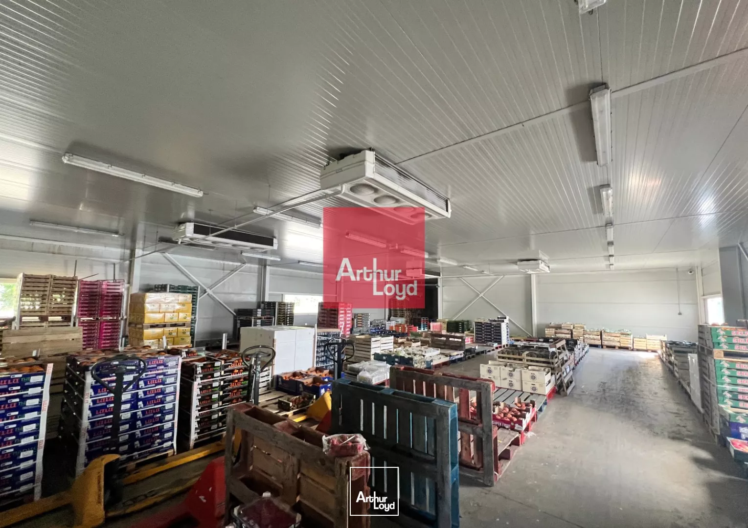 LOCAL D'ACTIVITE A LOUER - PROCHE ALES - 900 m2