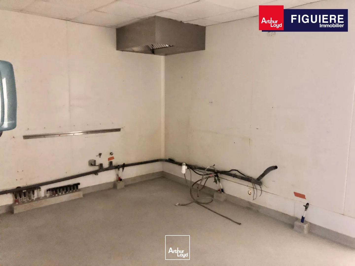 LOCAL PRIME 297m² A LOUER PLACE MORGAN