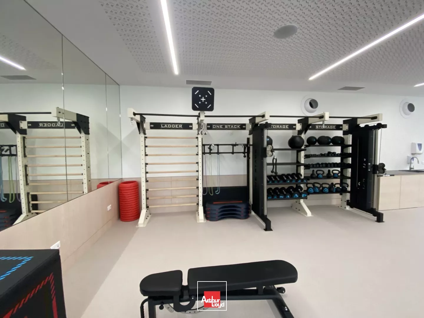 BUREAUX A LOUER MEYLAN ICONE 7386M² DIVISIBLE REFAITS A NEUF