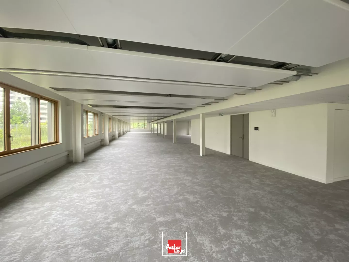 BUREAUX A LOUER MEYLAN ICONE 7386M² DIVISIBLE REFAITS A NEUF
