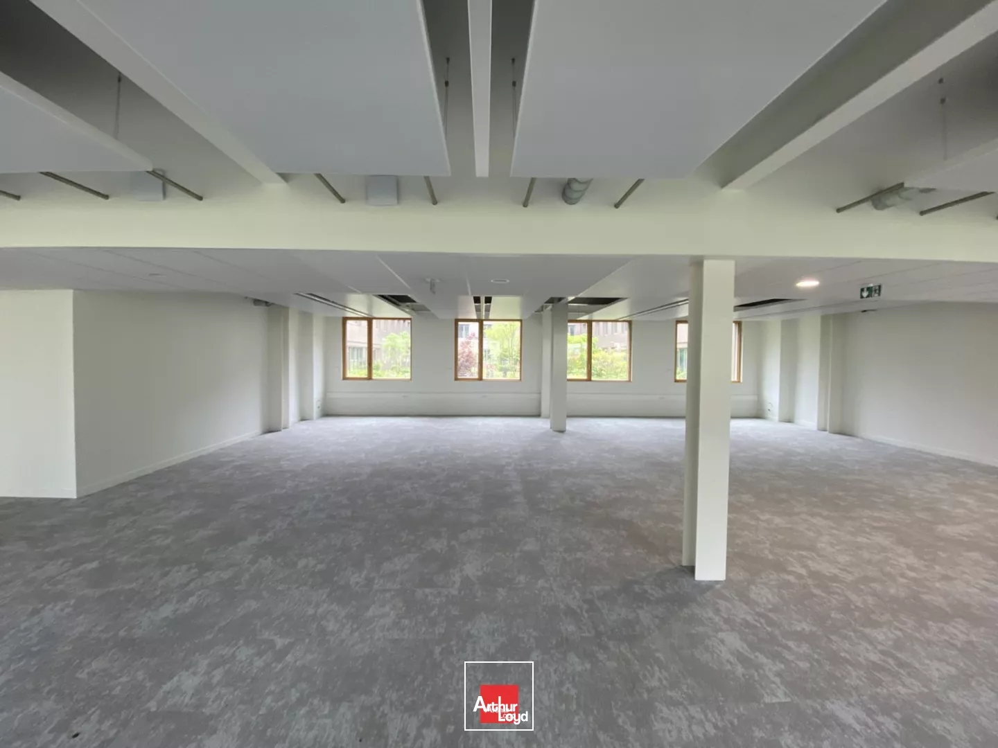 BUREAUX A LOUER MEYLAN ICONE 7386M² DIVISIBLE REFAITS A NEUF