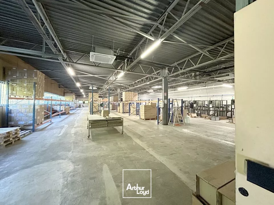 LOCAL D'ACTIVITE - ENTREPOT à LOUER de 1200 m²
