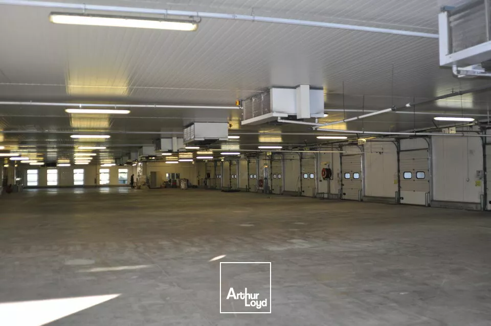 ENTREPOT - ATELIER location à LA CRECHE 79260