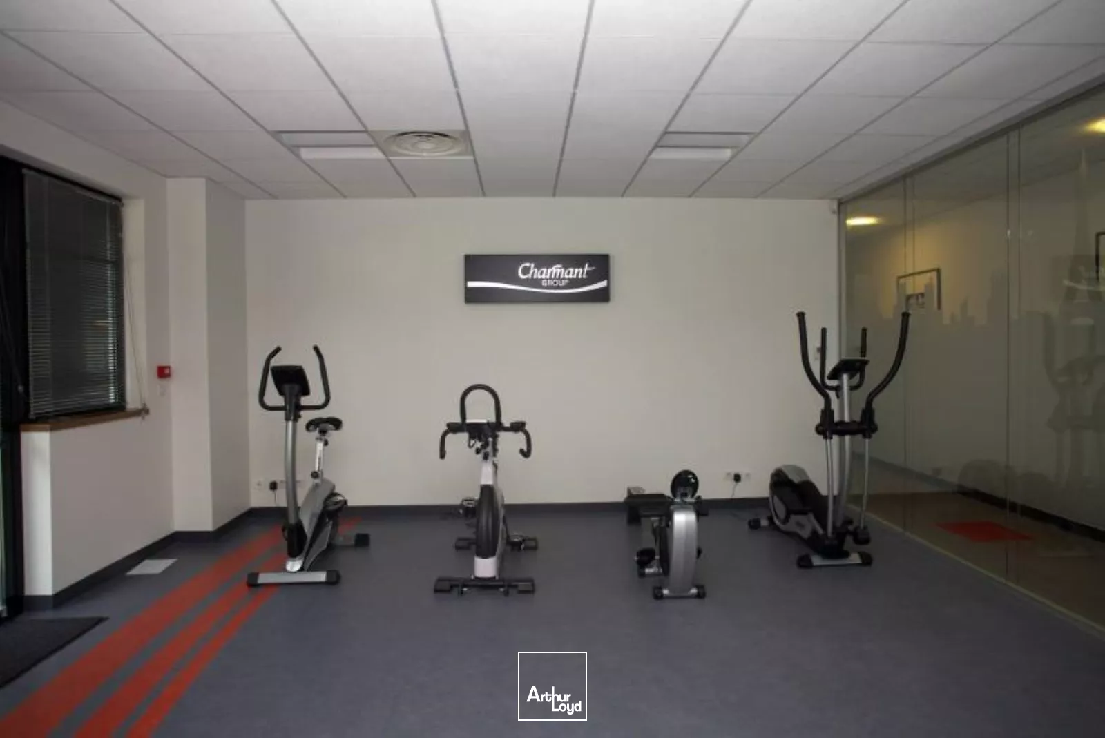 BATIMENT A LOUER - PARC DES CHANTERAINES - VILLENEUVE LA GARENNE