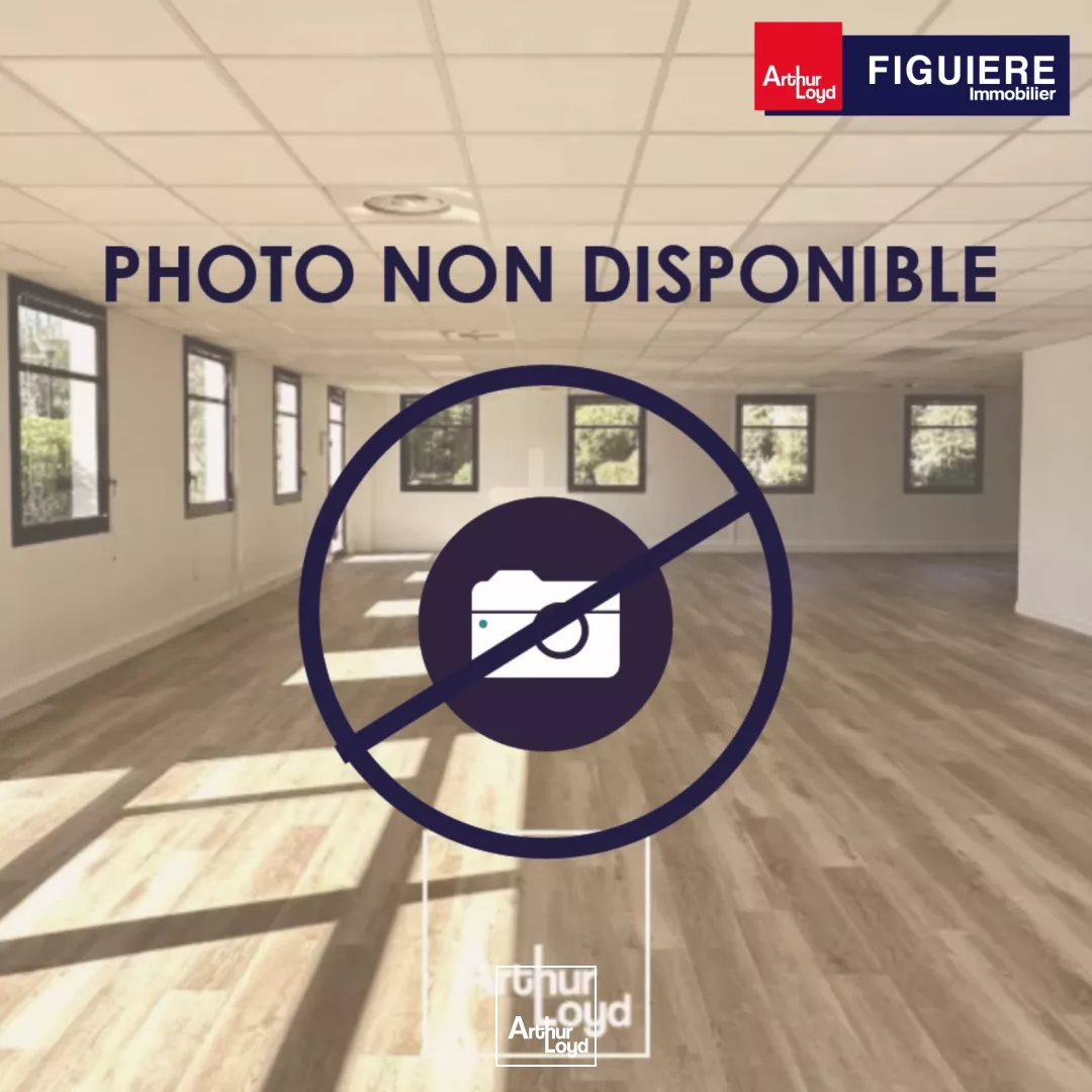 Locaux commerciaux divisibles à vendre à Sénas 