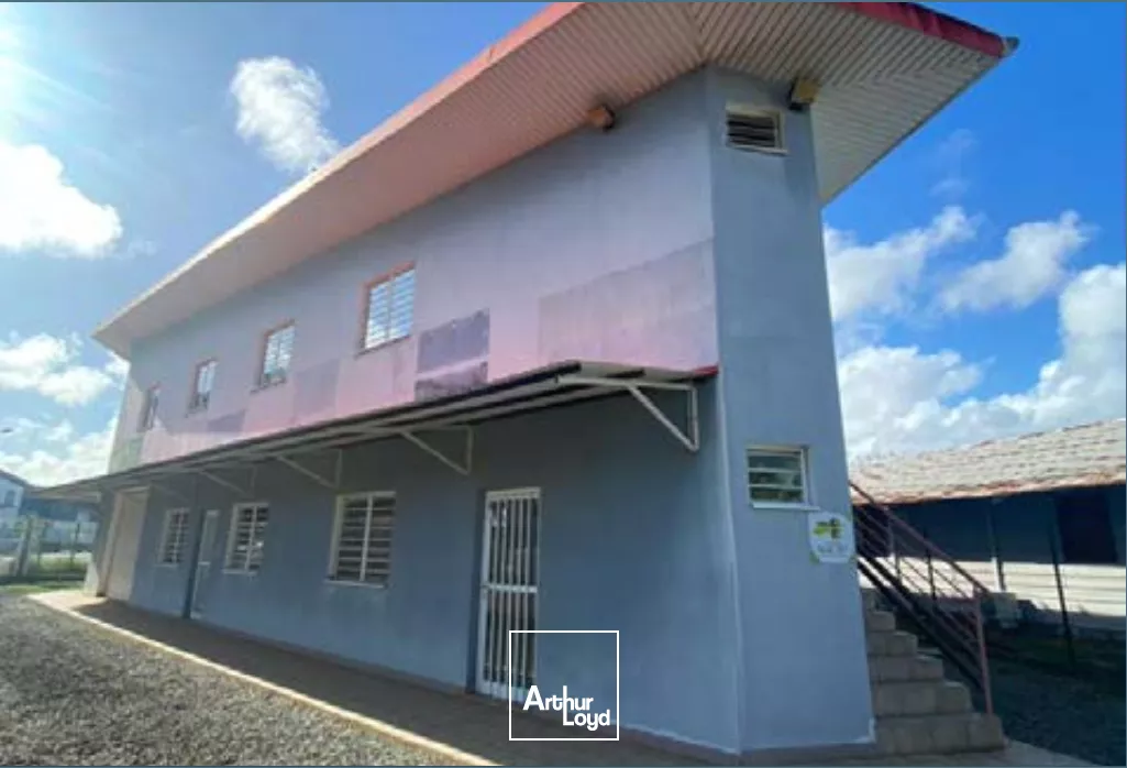 A LOUER Bureaux Cayenne 60 m2