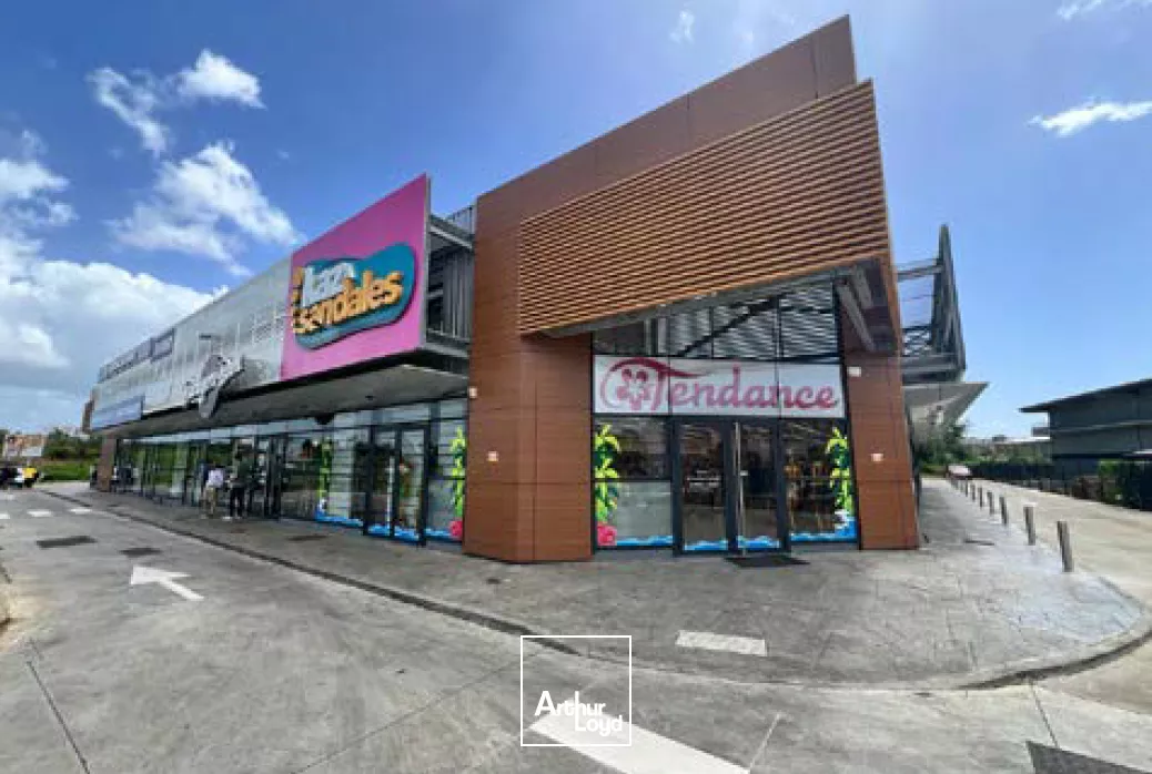 Bureaux Abymes 76 m2