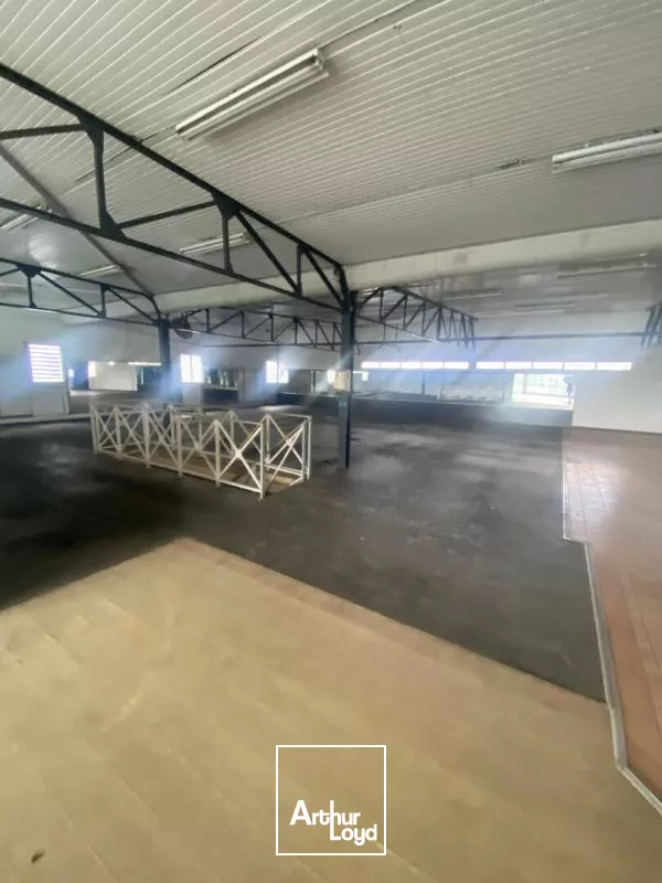 Local commercial 748 m2 Kerlys FdF