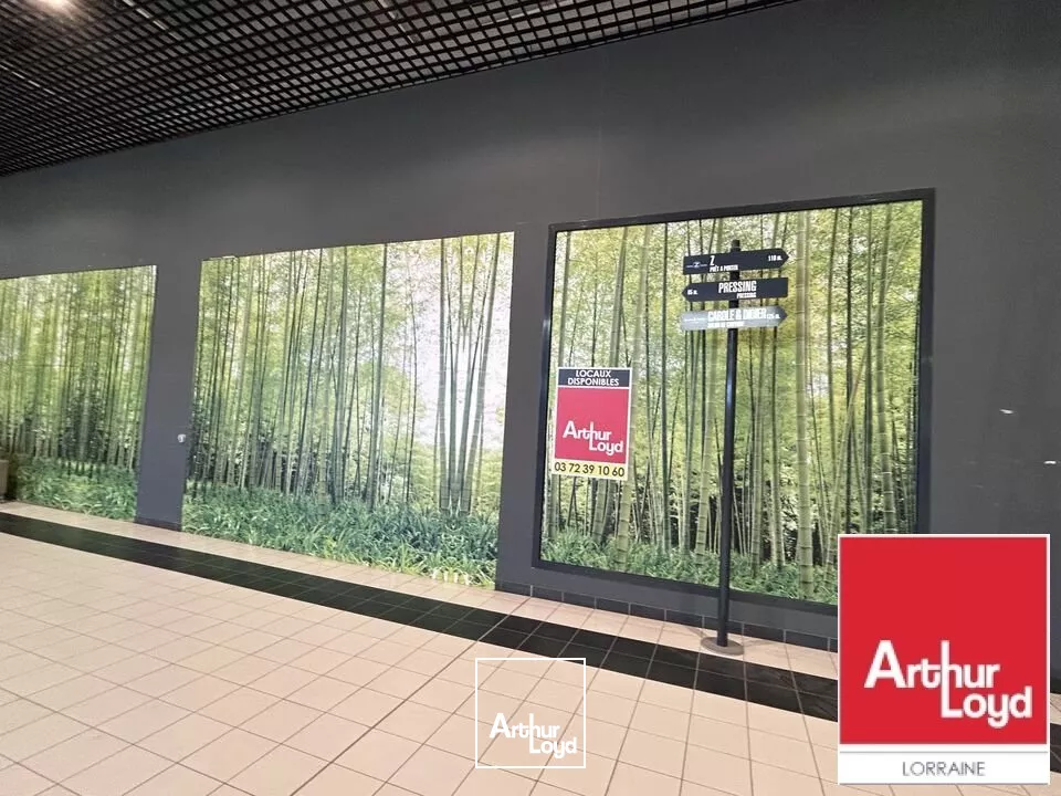 LOCAL COMMERCIAL à LOUER de 1000 m²