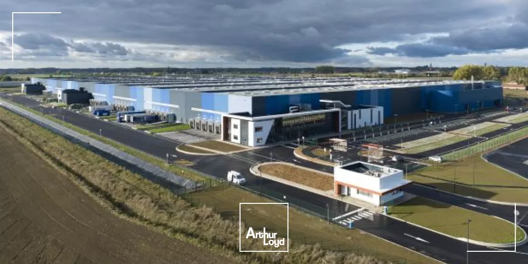 Location surface logistique neuve