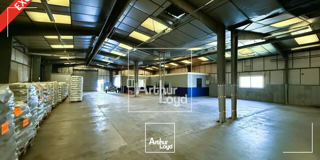 A LOUER - LOCAL D'ACTIVITE - EXCLUSIVITE