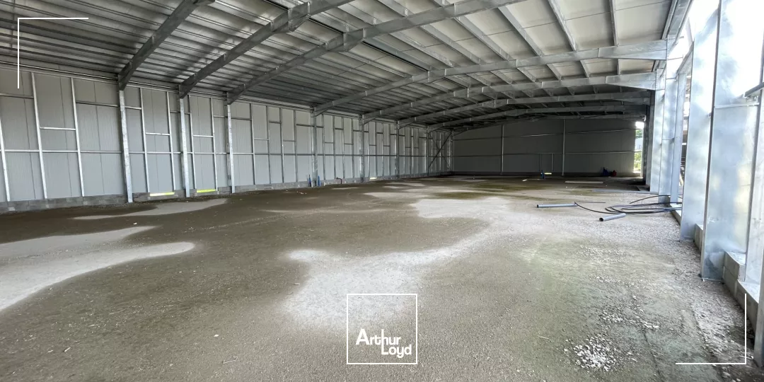 A LOUER - PROJET NEUF 