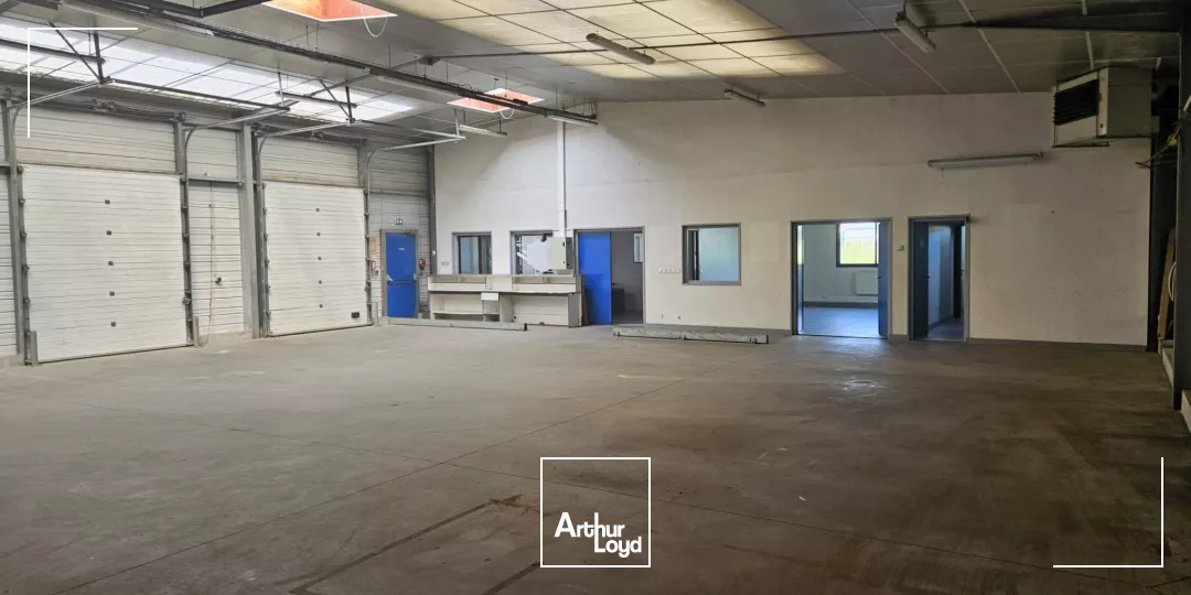 LOCAL D'ACTIVITE - A LOUER - ZONE DU GOHELEVE - 450 M²