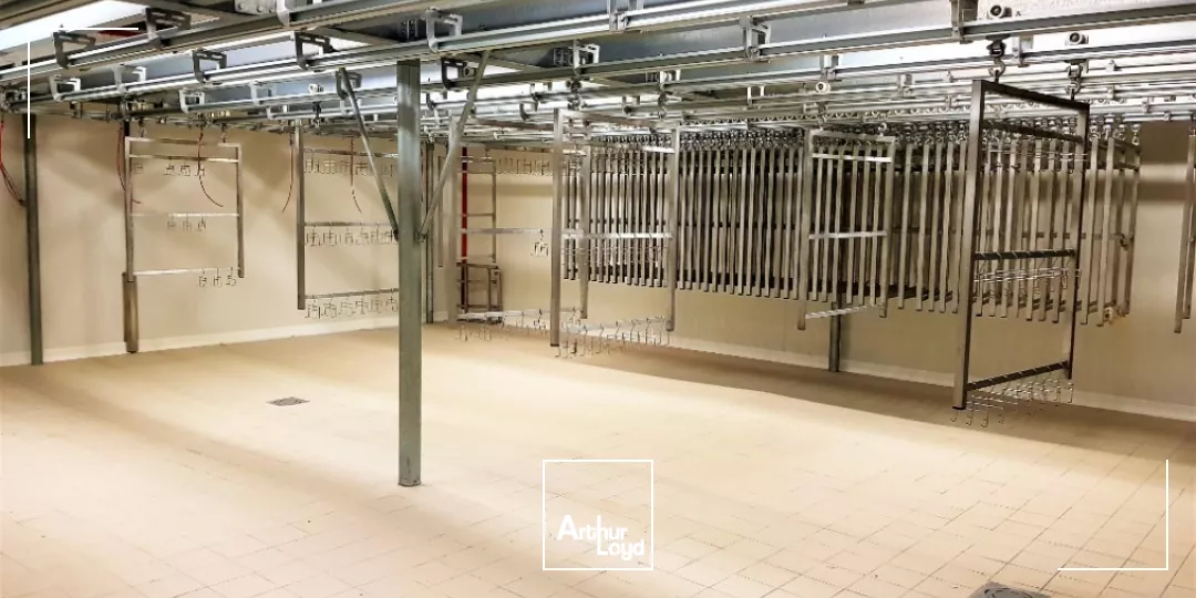 A VENDRE SUD VIENNE - BATIMENT INDUSTRIEL AGRO ALIMENTAIRE DE 900m²