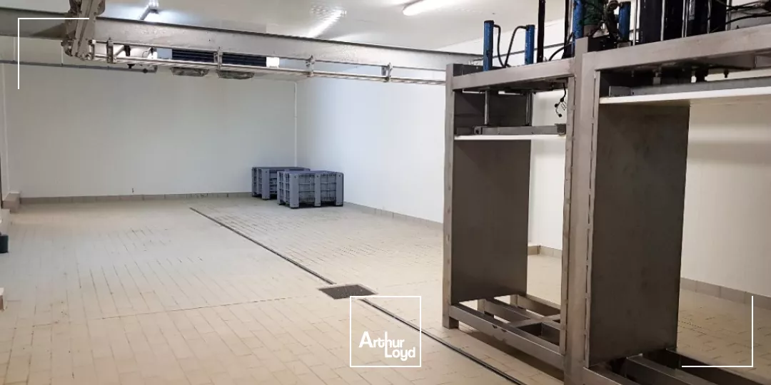 A VENDRE SUD VIENNE - BATIMENT INDUSTRIEL AGRO ALIMENTAIRE DE 900m²