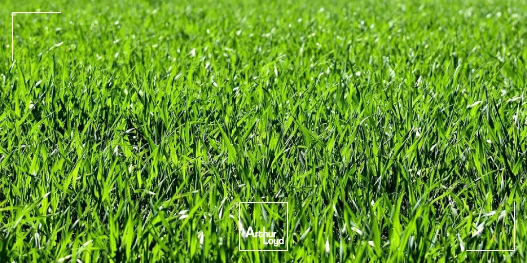 A VENDRE TERRAIN CONSTRUCTIBLE DE 3 000M² EN ZONE INDUSTRIELLE CHATELLERAULT NORD (86)