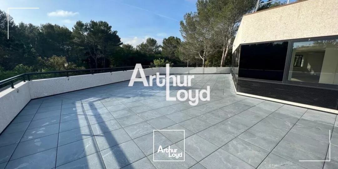 Ecoryzon - Bureaux rénovés 1027,46 m² divisibles à louer - Sophia Antipolis