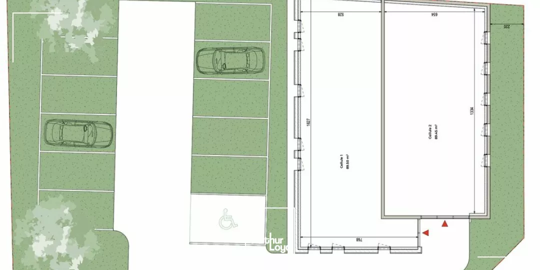 LOCAL COMMERCIAL location à BRIVE-LA-GAILLARDE 19100