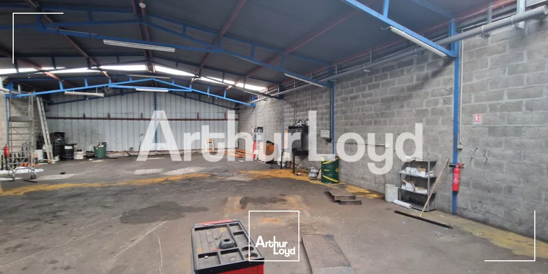 LOCAL ACTIVITE - IFS - 291 M²