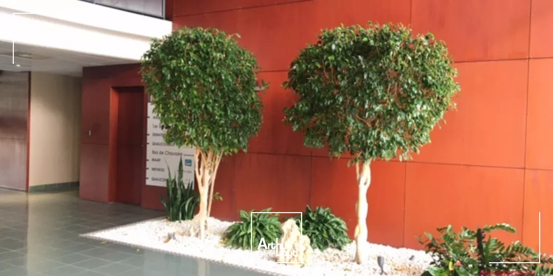 A LOUER - BUREAUX ESPRIT CAMPUS - PARC CLUB DU MILLENAIRE MONTPELLIER - GRAND PARKING