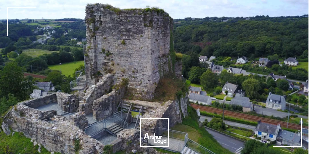 FONDS DE COMMERCE ET MURS D'UN RESTAURANT A VENDRE BELLE OPPORTUNITE A LA ROCHE MAURICE