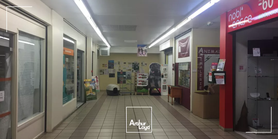 Locaux commerciaux à louer à Guingamp zone commerciale de Leader Price