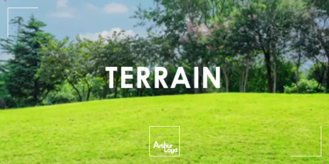 Terrain - zone - activité - aéroport - Saint Aignan 