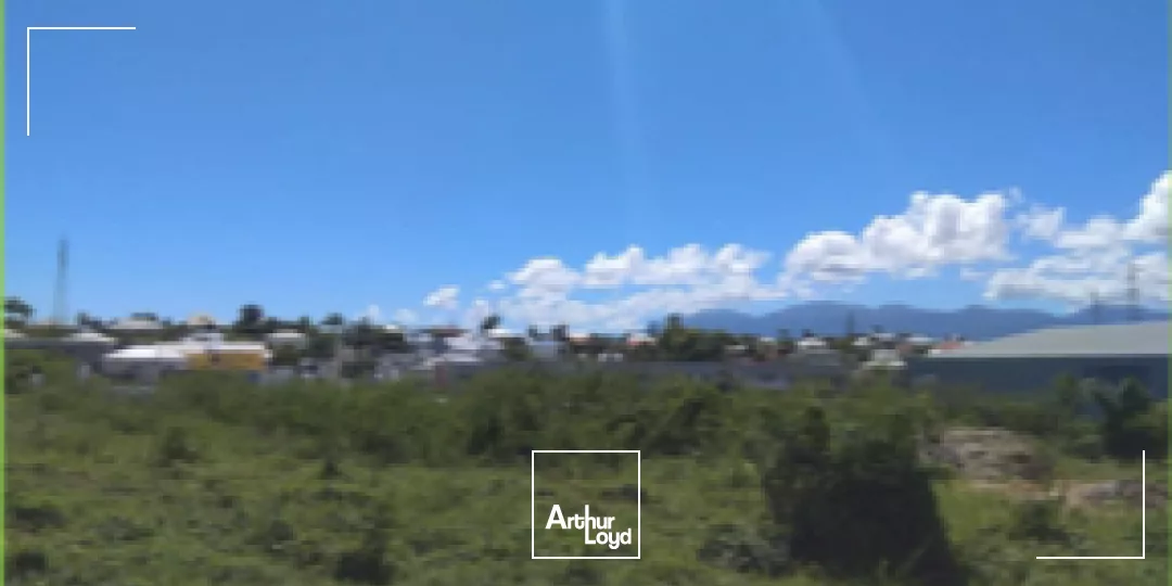 Terrain Baie Mahault 3681 m2