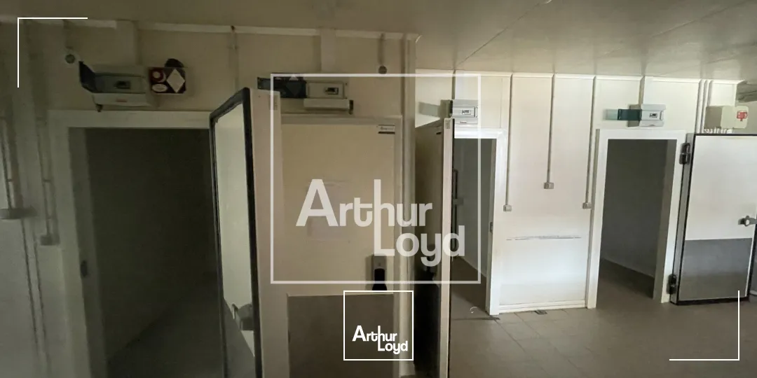 Local commercial de 235 m² à vendre ou à louer - Emplacement stratégique dans zone commerciale dynamique à Agde