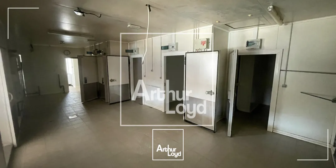 Local commercial de 235 m² à vendre ou à louer - Emplacement stratégique dans zone commerciale dynamique à Agde