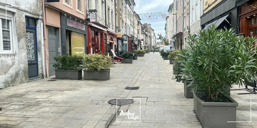 Chalon sur Saône- Centre ville- Ile St LAURENT