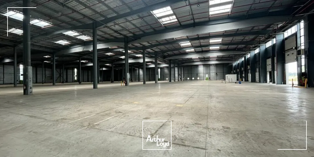 A LOUER plateforme logistique 12 000 m²