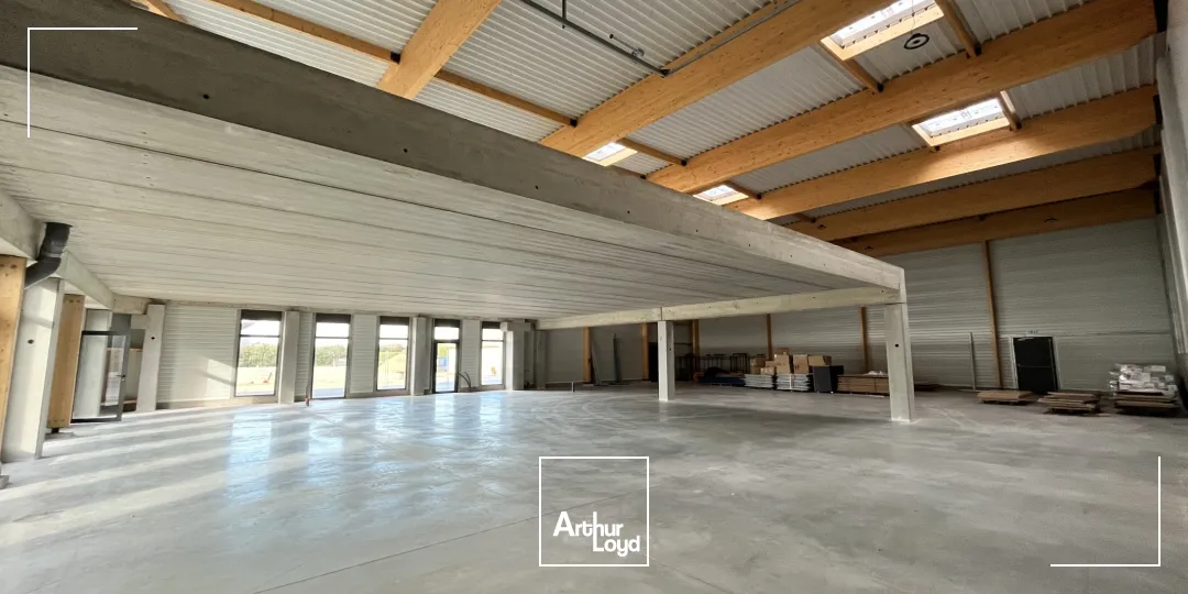 LOCAUX NEUFS - STOCKAGE + MEZZANINE -GALLARGUES A LOUER ou A VENDRE - Plusieurs lots disponibles