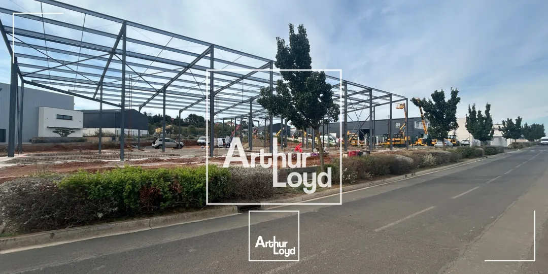 Locaux d'activités/commerces - neufs - à louer 