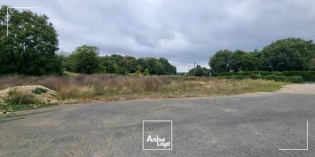 A VENDRE SECTEUR POITIERS-SUD LOCAL D'ACTIVITE DE 250M² SUR TERRAIN CONSTRUCTIBLE DE 8500M² 