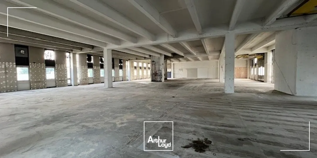 Locaux d'activité à louer à RUNGIS 94150