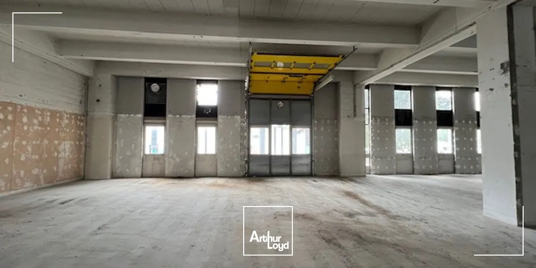 Locaux d'activité à louer à RUNGIS 94150