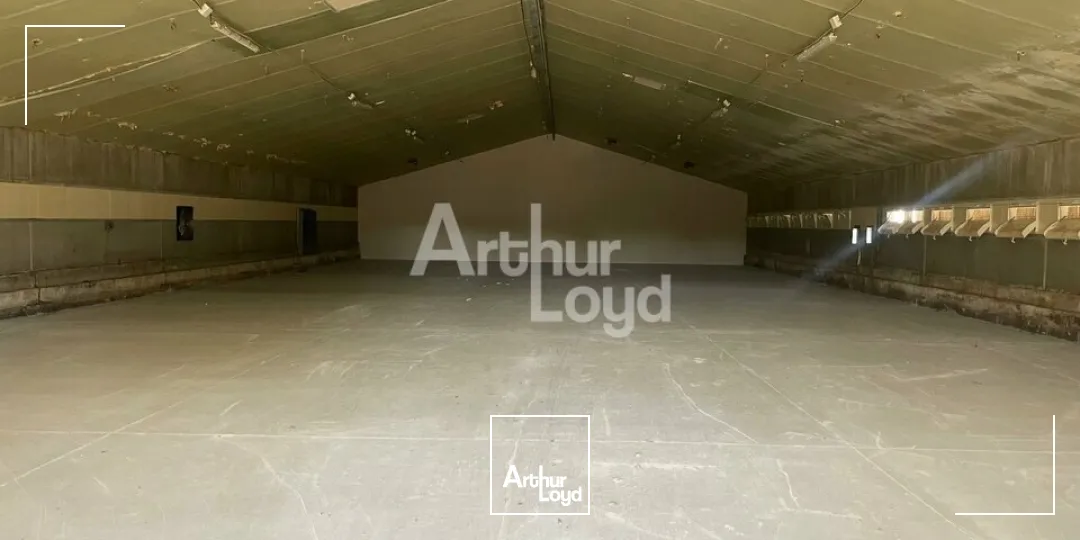 FOSSÉ - VENTE LOCAUX D'ACTIVITÉ 4 x 500 M² - IDÉAL STOCKAGE