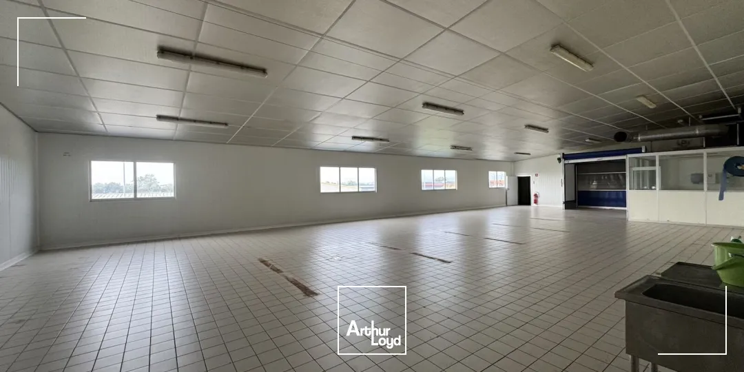 À LOUER : Bâtiment indépendant de 2 000 m² avec réserve foncière sur terrain de 5 000 m² à MANZIAT