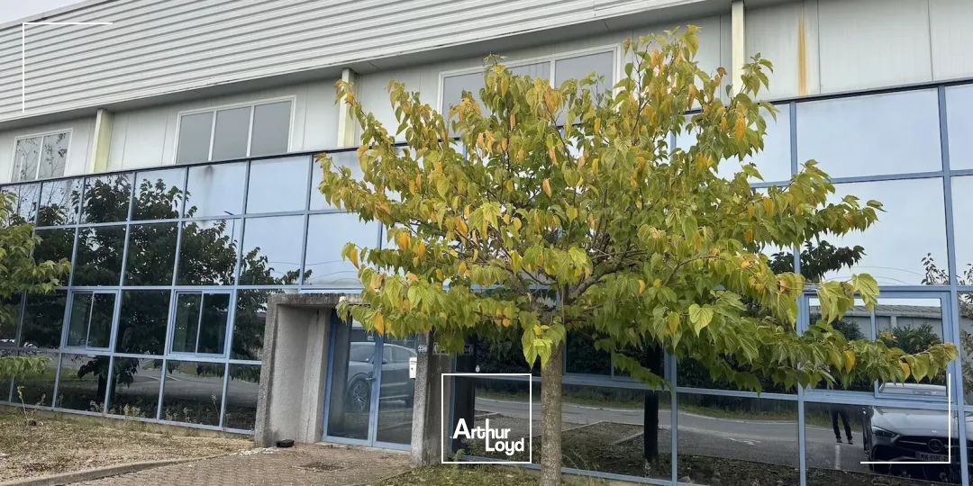 À LOUER : Bâtiment indépendant de 2 000 m² avec réserve foncière sur terrain de 5 000 m² à MANZIAT