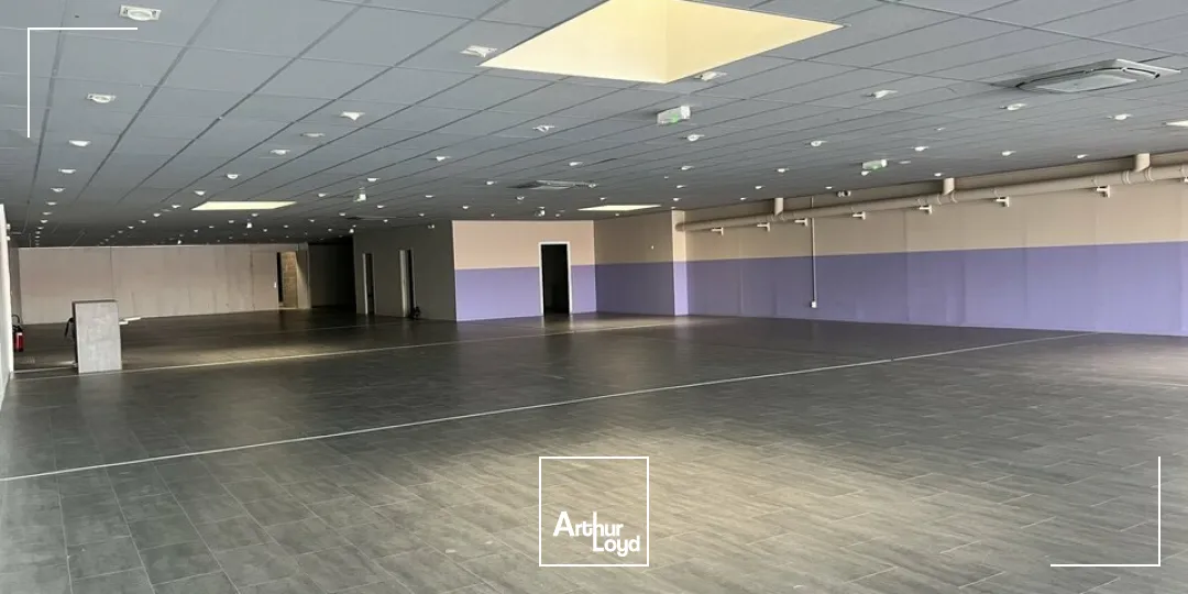 CHAMBRAY-LES-TOURS LA VRILLONNERIE LOCAL COMMERCIAL A LOUER 1000 M² - AV. DU GRAND SUD