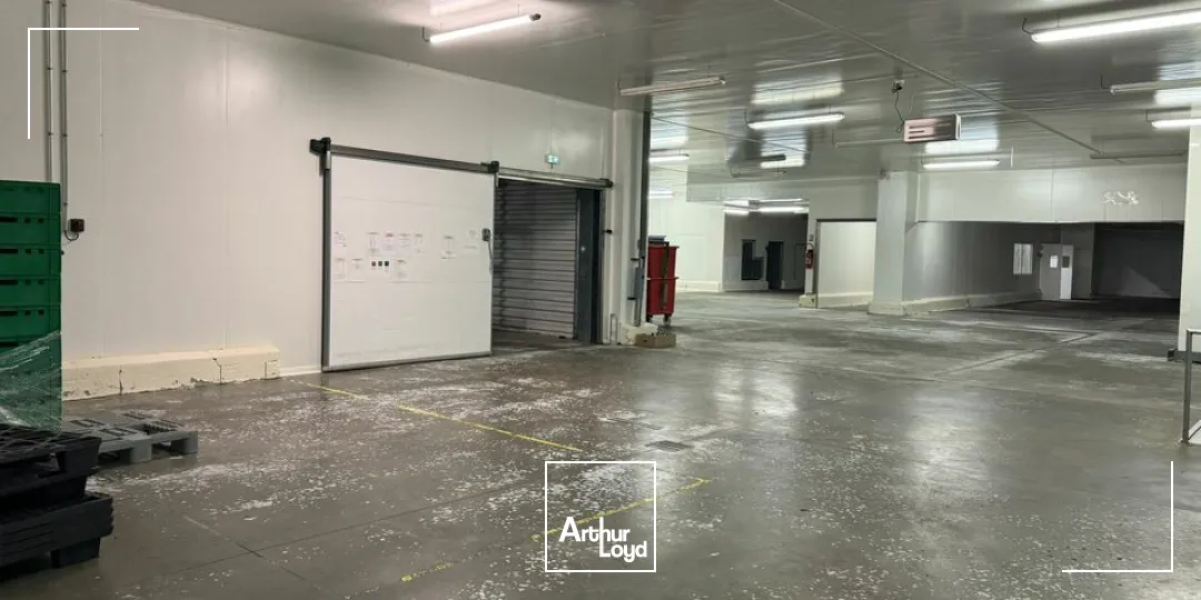 TOURS SUD GRANGE BARBIER - BÂTIMENT FROID POSITIF NEGATIF 4407 M² - TERRAIN 15591 M²