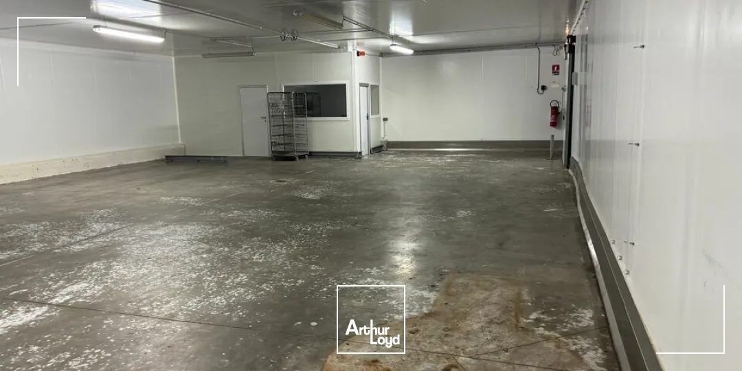 TOURS SUD GRANGE BARBIER - BÂTIMENT FROID POSITIF NEGATIF 4407 M² - TERRAIN 15591 M²