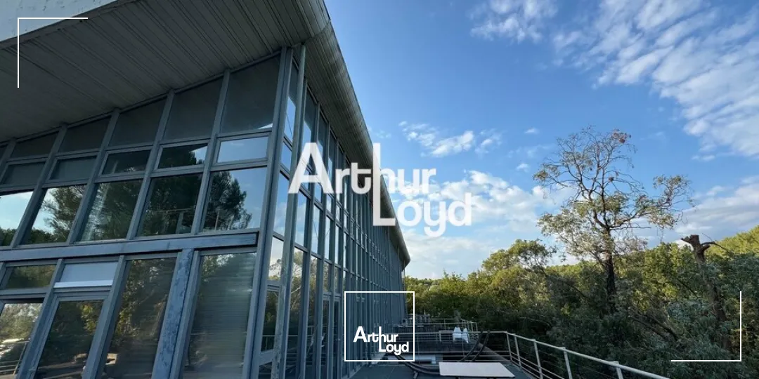 Location de bureaux 160 m² avec terrasse - Sophia Antipolis
