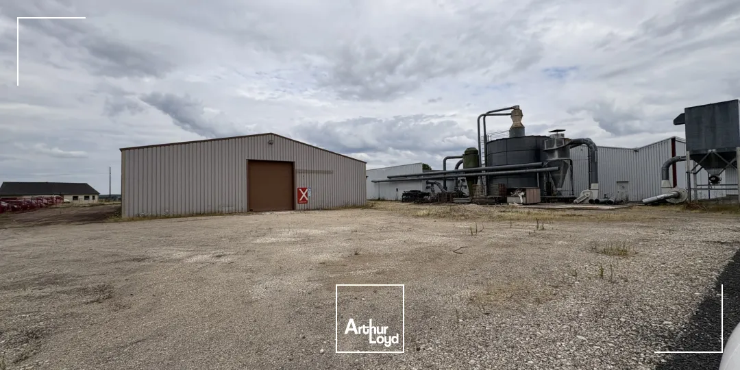 À vendre - Ensemble immobilier à usage industriel et commercial à Châtillon-sur-Loire (45)