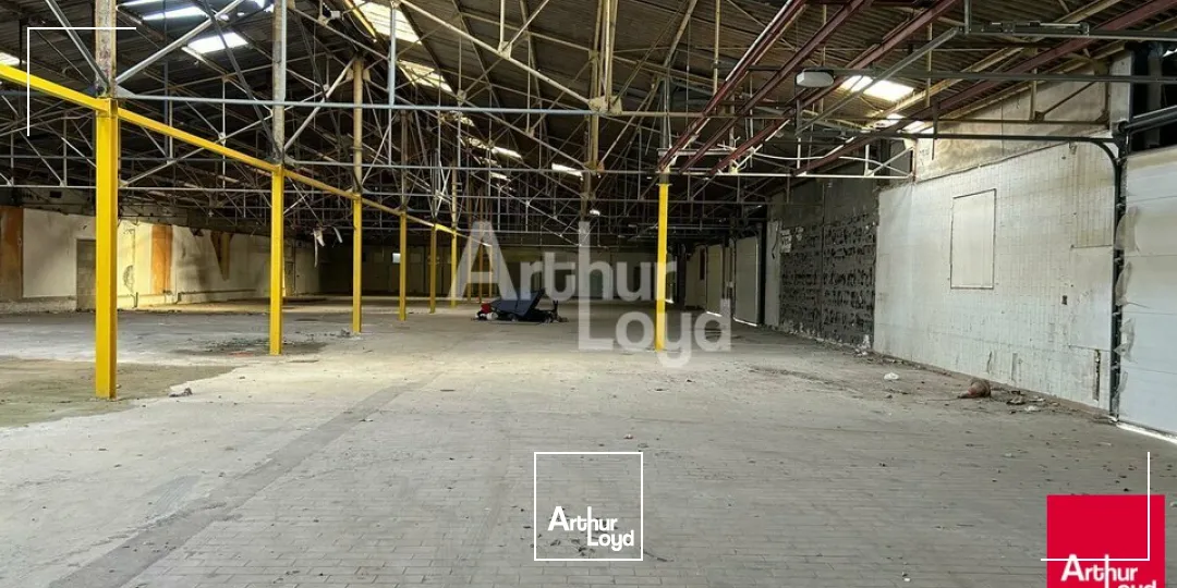 BLOIS NORD - A LOUER - LOCAUX D'ACTIVITÉ 266 - 400 - 436 et 515 M² - ZONE INDUSTRIELLE