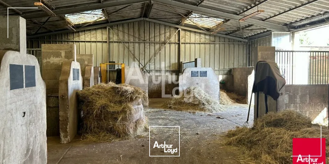 BLOIS - VENTE LOCAL D'ACTIVITÉ DE 700 M² - QUARTIER VIENNE