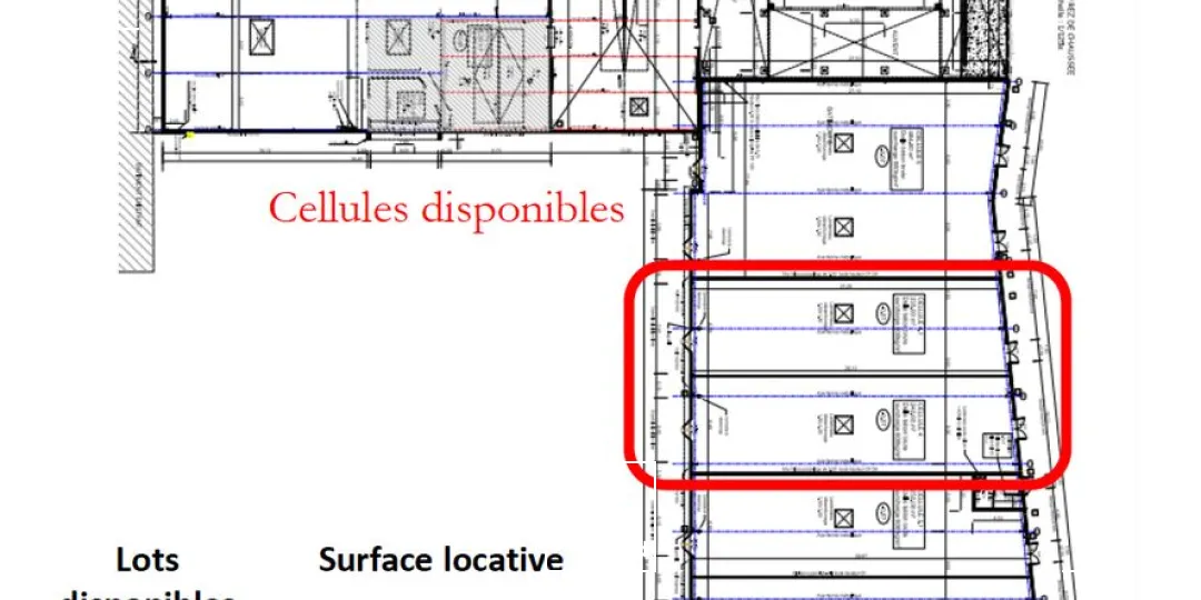 Locaux commerciaux à louer Cucq - Cellules de 75 m² et 242 m² en zone commerciale avec belle vitrine